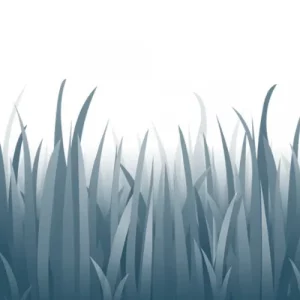 CALCETTO - TERRENO DURO